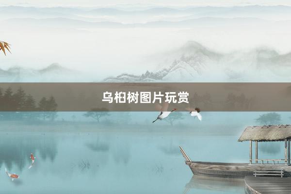 乌桕树图片玩赏